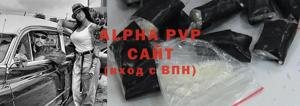 гидра Ельня