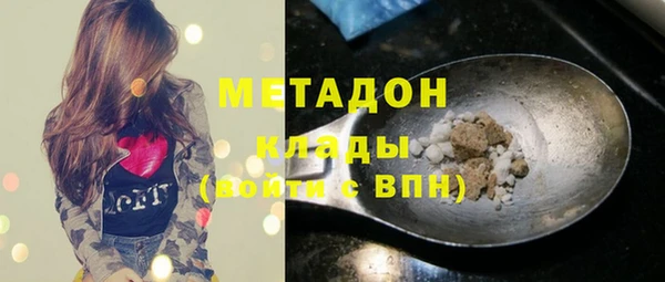 гидра Ельня