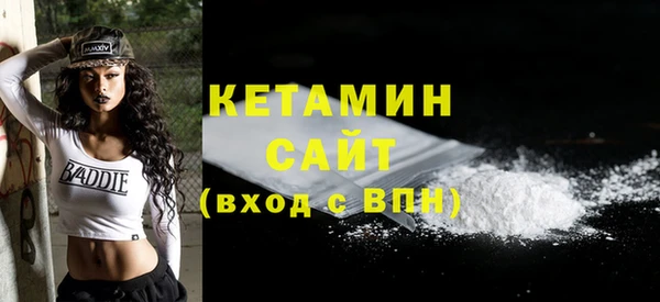 гидра Ельня