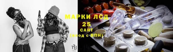 гидра Ельня