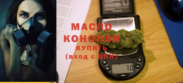 индика Заводоуковск