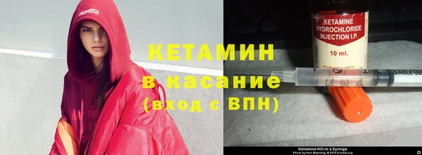 гидра Ельня