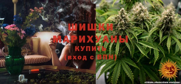 гидра Ельня