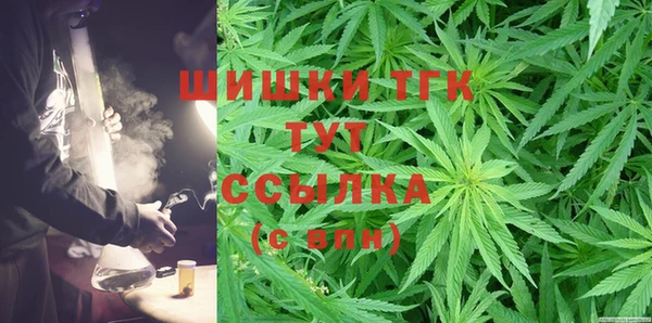 гидра Ельня