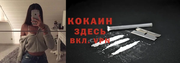 гидра Ельня
