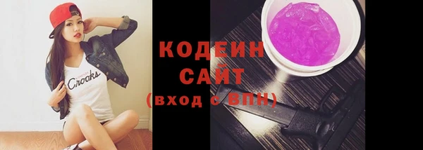 гидра Ельня
