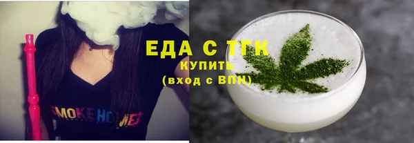 гидра Ельня