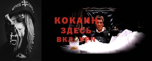 гидра Ельня