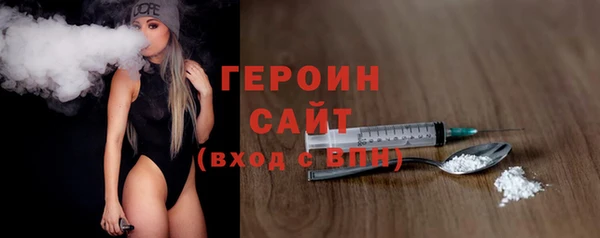 гидра Ельня