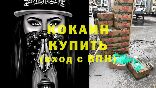 гидра Ельня