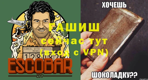 гидра Ельня