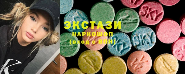 гидра Ельня