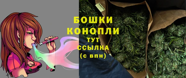 гидра Ельня