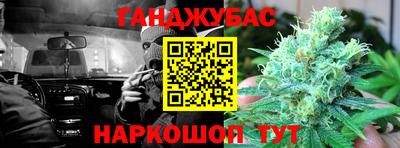 гидра Заводоуковск