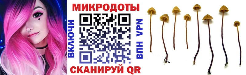 Галлюциногенные грибы Psilocybe  Купить  Нальчик 