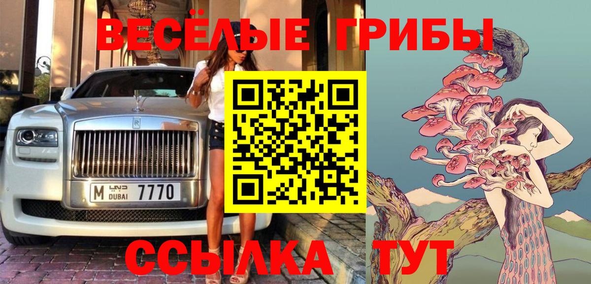 Псилоцибиновые грибы Cubensis  Нальчик 