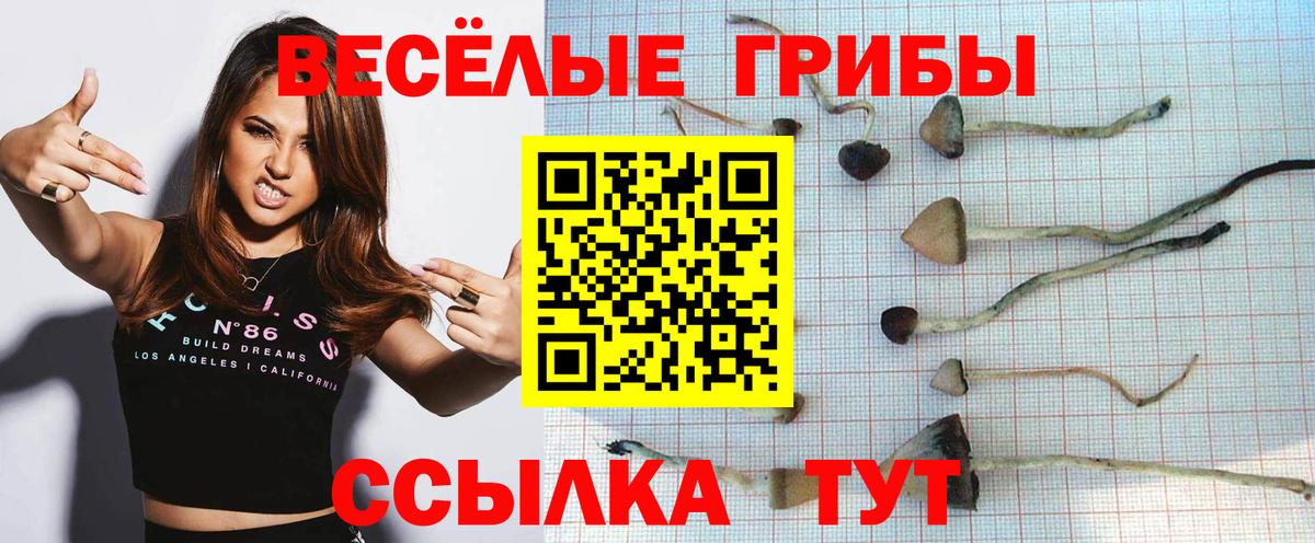 Галлюциногенные грибы Cubensis Нальчик