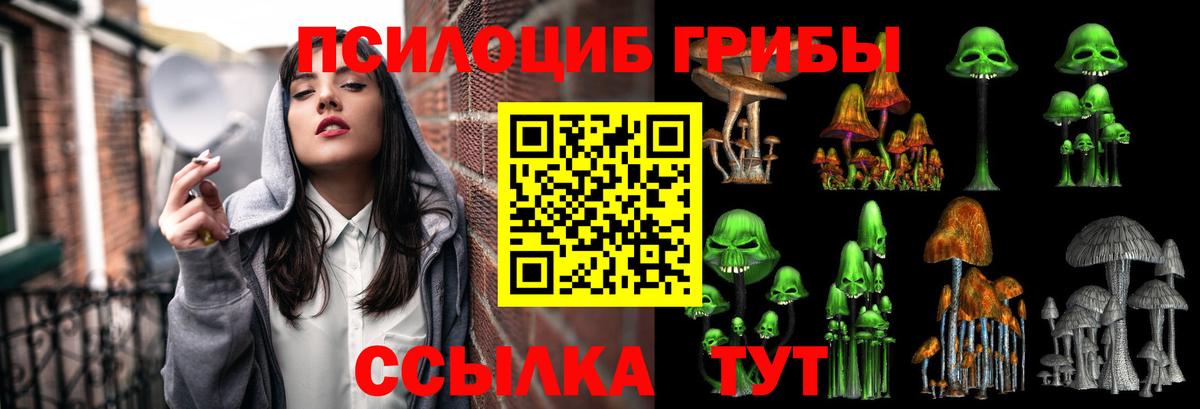 Нальчик  Псилоцибиновые грибы MAGIC MUSHROOMS  Галлюциногенные грибы мухоморы  Вход с VPN 